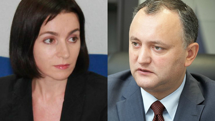 Игорь или Майя?