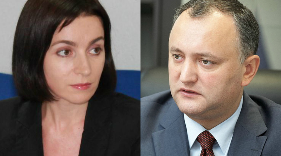 Игорь или Майя?