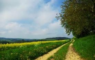 Летняя погода в РМ продлится
