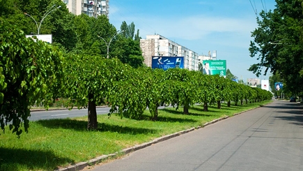 На Ботанике автомобиль насмерть сбил двух девушек