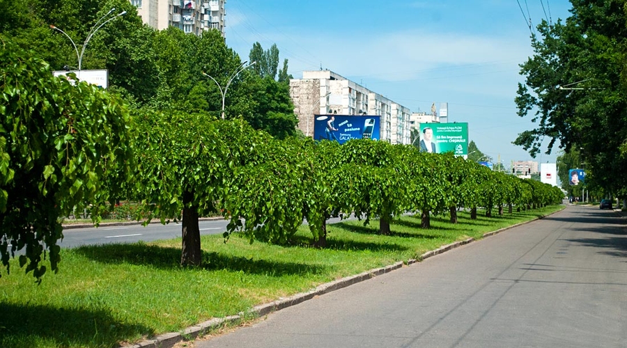 На Ботанике автомобиль насмерть сбил двух девушек