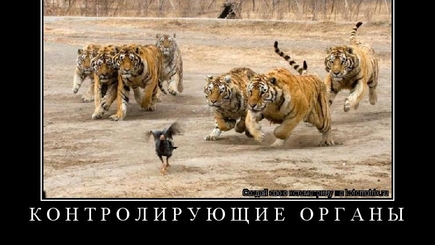 Хорошая новость для предпринимателей: Количество контролирующих органов в Молдове сократилось наполовину