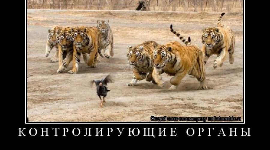 Хорошая новость для предпринимателей: Количество контролирующих органов в Молдове сократилось наполовину