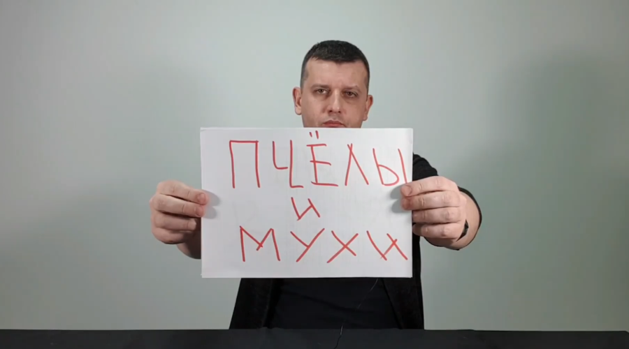 Пчелы и мухи. Ты кто? - Вся правда о выборах 2019 года