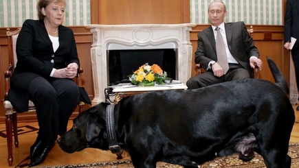 Пакт Путина-Меркель