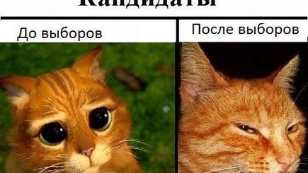 От понедельника до понедельника – Хочу жить в стране вечных выборов