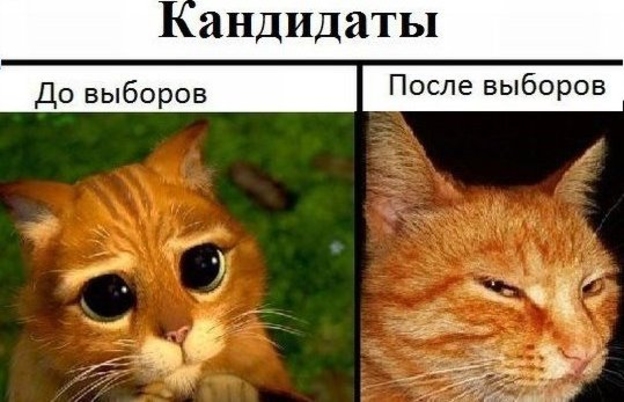 От понедельника до понедельника – Хочу жить в стране вечных выборов