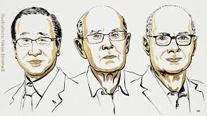 Нобелевская премия по химии 2025 подтверждает направление румыно-молдавских исследований в области передовых материалов