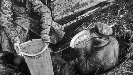 Как большевики организовали Голодомор