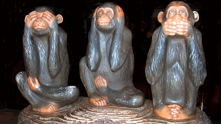 Советы    постороннего для  «партии   молчальников»