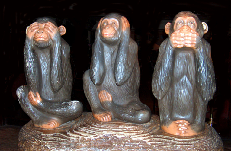 Советы    постороннего для  «партии   молчальников»