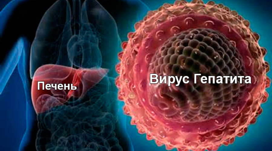 Почти три тысячи страдающих хроническим гепатитом получат бесплатное лечение