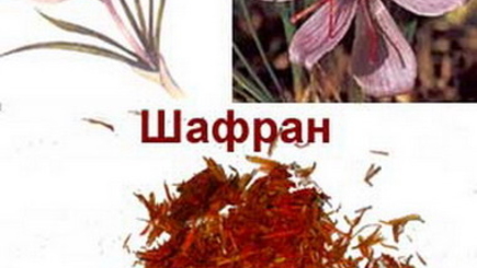 Самые дорогие продукты мира