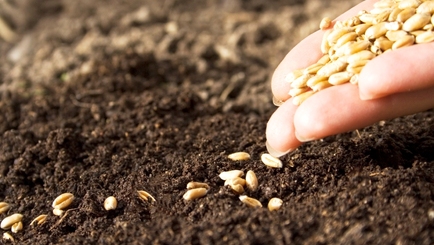 Блуд национальной идеи: Что посеешь, то и пожнешь