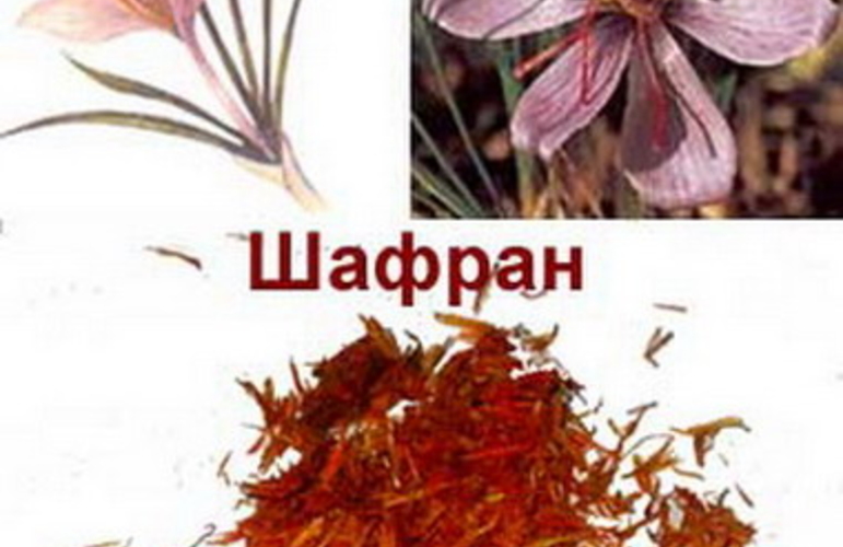 Самые дорогие продукты мира