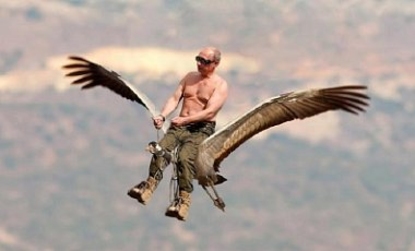 Путин принял участие в спасении журавлей