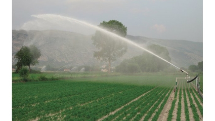 Что имели не хранили. Плакать перестали, начали восстанавливать.