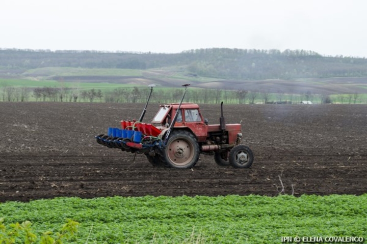 АИПСХ перевело на счета сельхозпроизводителей 184 млн. леев