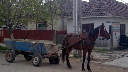 Повозки пронумеруют