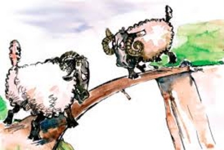 Мирная ситуация на Земле ухудшалась стабильно на протяжении последних семи лет (доклад)