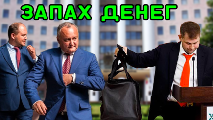 ВЫБОРЫ – Альянсы с оттенком красного