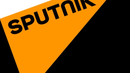Официальные данные и  спекуляции агенства SPUTNIK