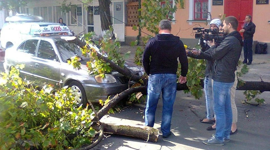 Дерево обрушилось на едущее такси