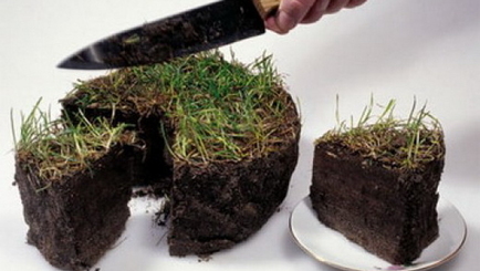 Почем Молдова?