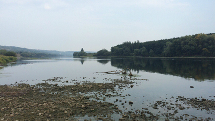 Проливные дожди не смогли остановить падение уровня воды в Днестре