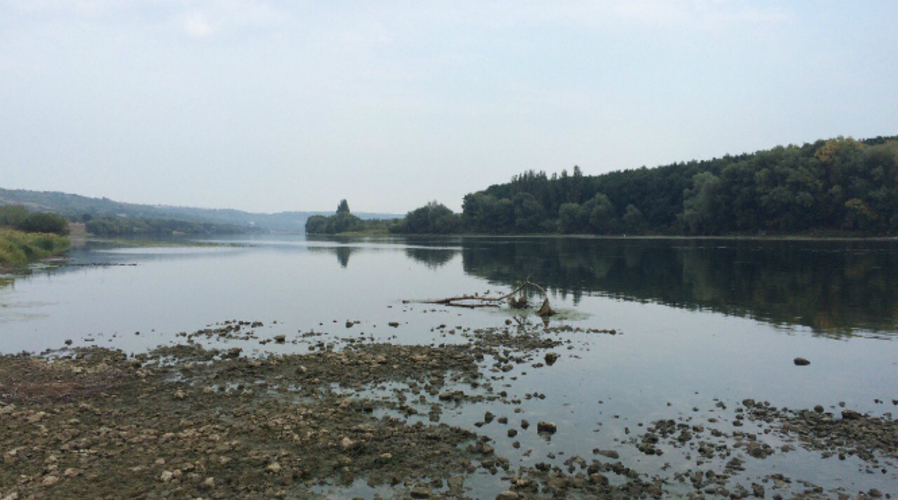 Проливные дожди не смогли остановить падение уровня воды в Днестре