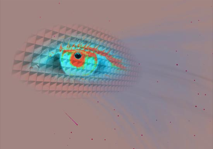 Иллюзорная реальность
