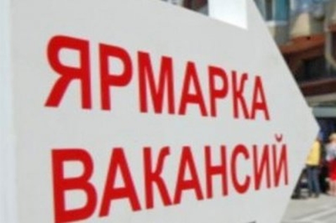 Больше 200 человек трудоустроились с помощью онлайн-ярмарки рабочих мест