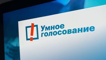 Умное голосование: Бородино рунета