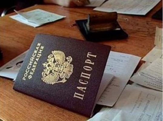 Закон об упрощенной выдаче гражданства РФ полностью одобрен