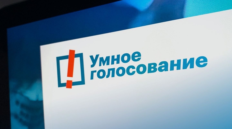 Умное голосование: Бородино рунета