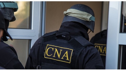 Аллу Долинцэ обыскали, но еще не арестовали