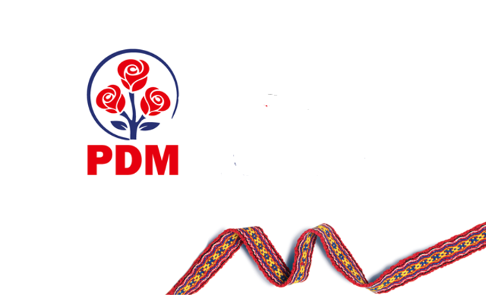 Готова ли ДПМ занять свою идеологическую нишу?