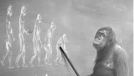 Угрожающие тенденции интеллектуальной депопуляции