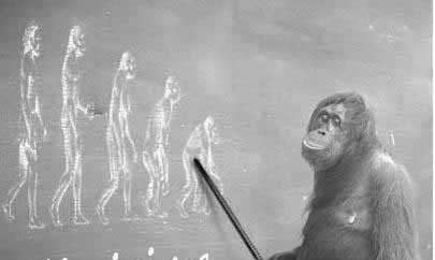 Угрожающие тенденции интеллектуальной депопуляции