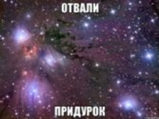 Президенту можно говорить: «Отвали, придурок!»