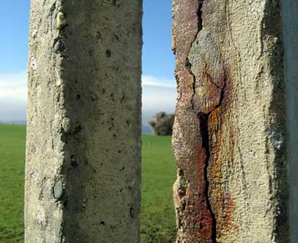 Почем нынче Президент