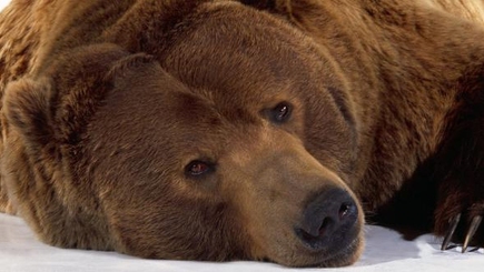 Новая стратегия:  Приднестровье -  площадка для распространения российской «мягкой силы»