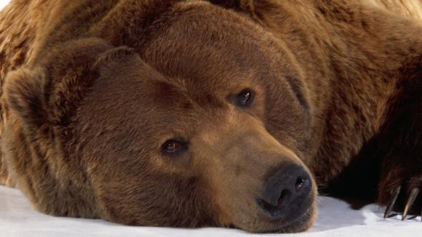 Новая стратегия:  Приднестровье -  площадка для распространения российской «мягкой силы»