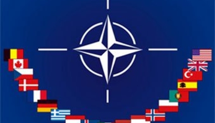Делегация РМ участвует в сессии парламентской ассамблеи НАТО
