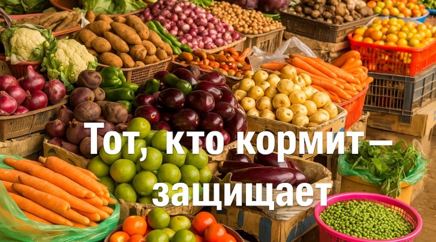 Сельское хозяйство Молдовы: проблемы и перспективы