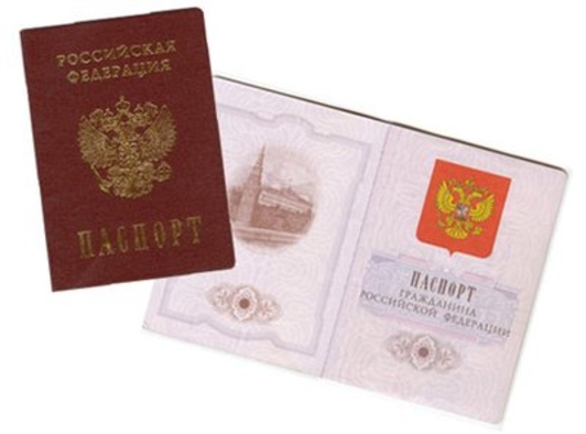 СФ одобрил закон о пoлучении гражданства РФ
