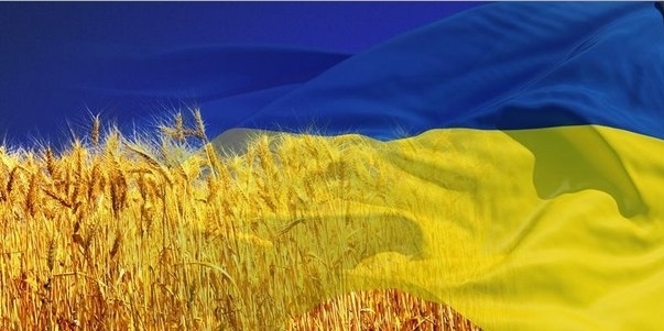 Андриевский: