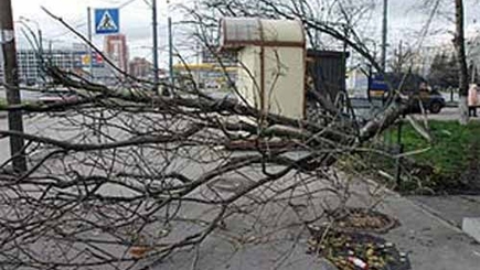 Свыше ста населенных пунктов Молдовы остались без электричества. Сильный ветер продолжает обрывать линии электропередач