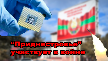 Террариум