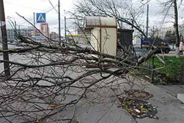Свыше ста населенных пунктов Молдовы остались без электричества. Сильный ветер продолжает обрывать линии электропередач